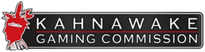 Лицензия Gaming